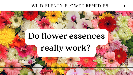 Do Flower Essences Really Work?